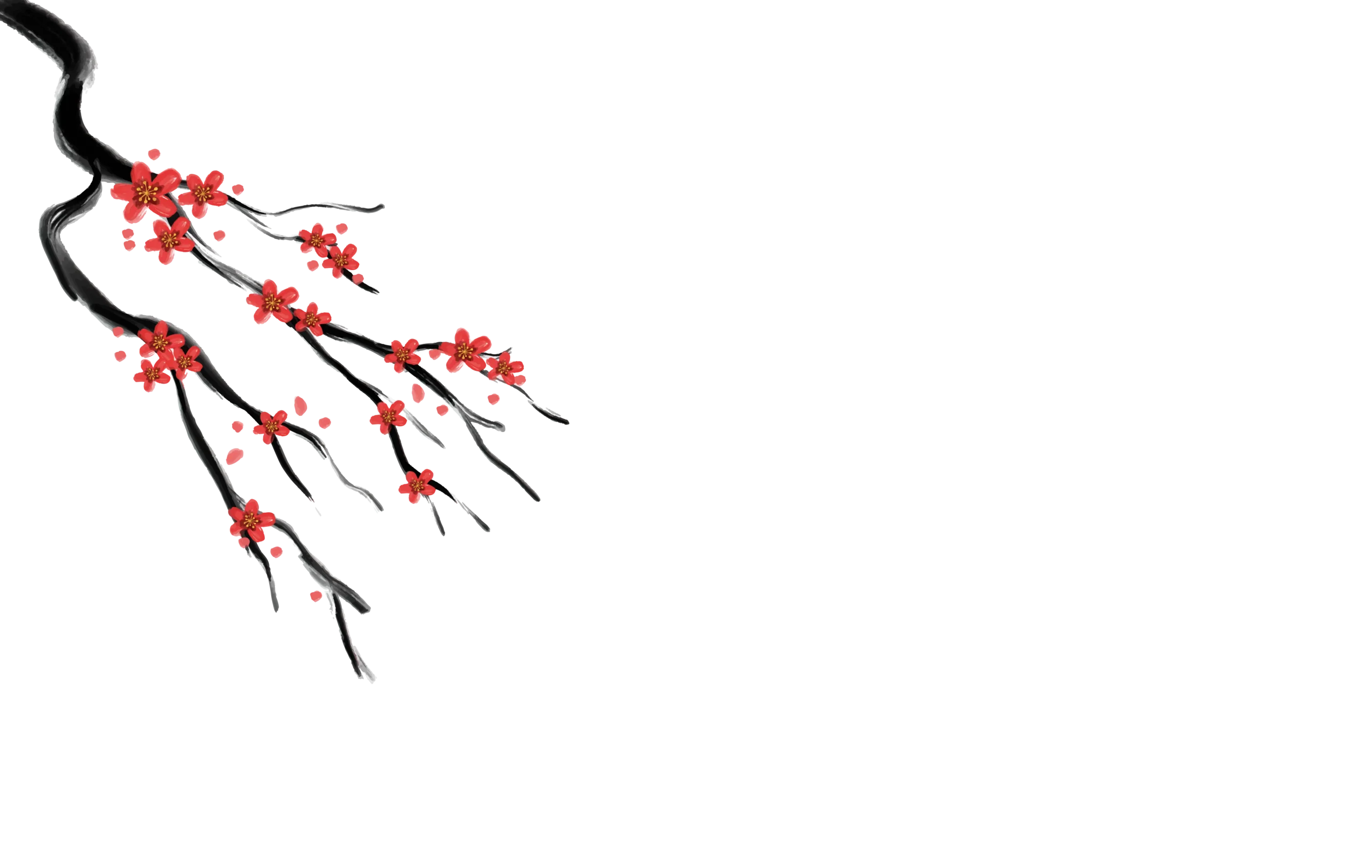 Background sacura care